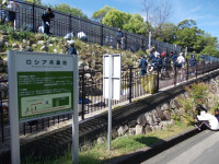DSCN0049