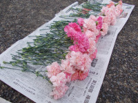 DSCN0005