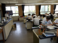 IMGP2990