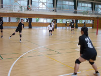 DSCN0253