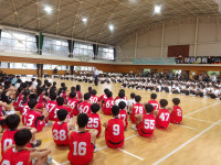 IMGP3082