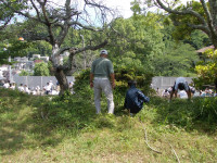 DSCN0132
