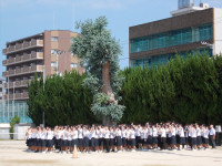 DSCN0017