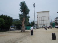 DSCN0041
