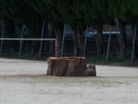 DSCN0071