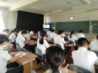 ANMP0284