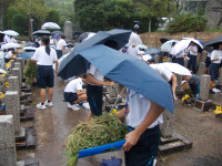 DSCN0317