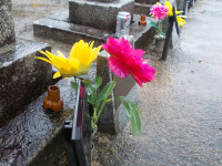DSCN0327