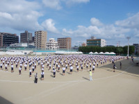 DSCN0382