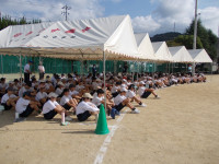 DSCN0388