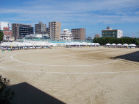 DSCN0446