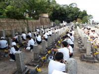 IMGP0208