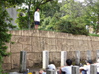 IMGP0236