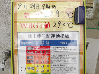 IMGP0506