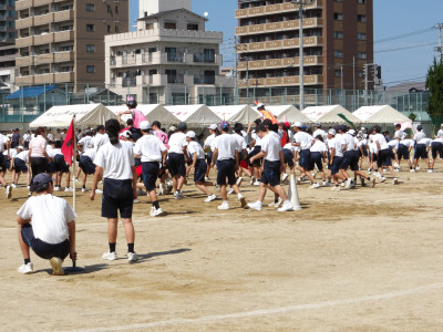 IMGP0793