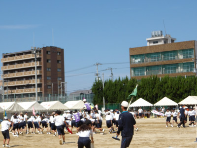 IMGP0794